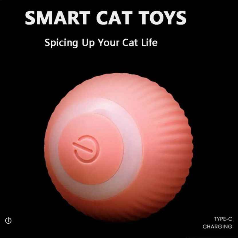 360° Automatic Rolling Ball Pet Toy — Pink