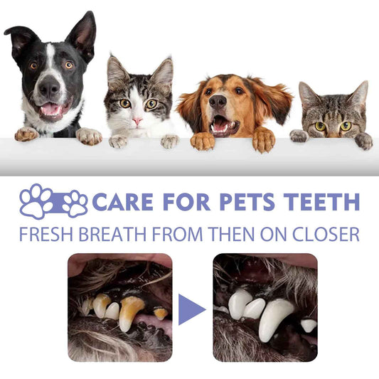Pet Tooth Cleaning Spray for Dogs & Cats – Fresh Breath & Oral Care (30ml)