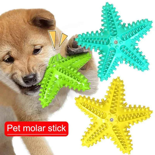 Starfish Dog Molar Chew Toy – Squeaky TPR Dental Stick for Dogs