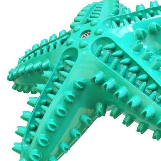 Starfish Dog Molar Chew Toy – Squeaky TPR Dental Stick for Dogs