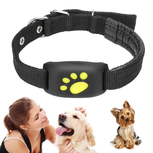 Pet GPS Tracker Collar from PawCentral