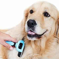Pet Grooming Brush