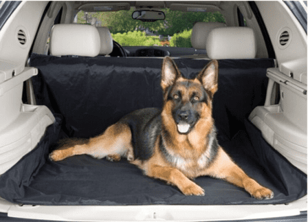Pet Car Back Seat Cover