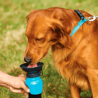 Aqua Dog Water Bottle