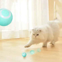 USB Charging Automatic 360 Degree Automatic Pet Rolling Ball For Puppy Cats Kitten - Blue