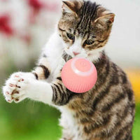 USB Charging Automatic 360 Degree Automatic Pet Rolling Ball For Puppy Cats Kitten - Pink