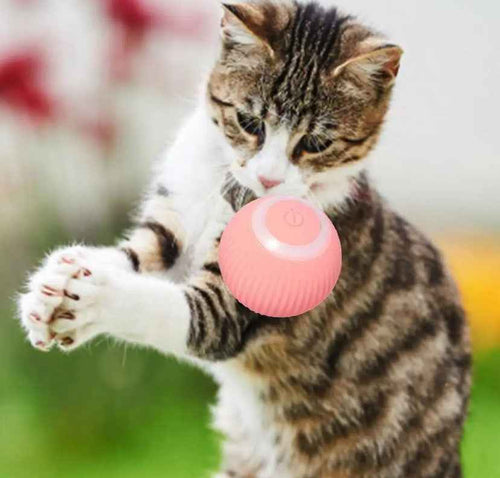 360° Automatic Rolling Ball Pet Toy — Pink