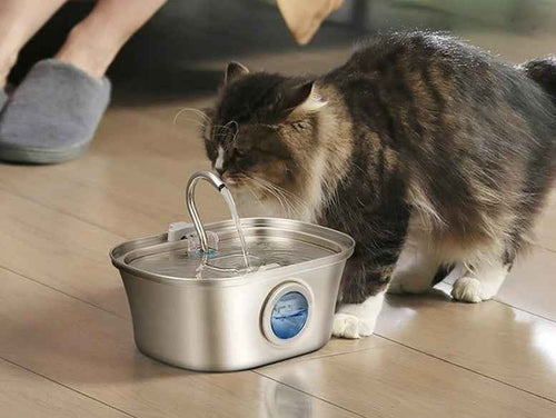 3.2L Stainless Cat Water Fountain With Water Level Window