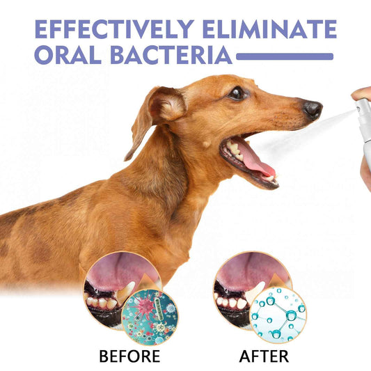 Pet Tooth Cleaning Spray for Dogs & Cats – Fresh Breath & Oral Care (30ml)