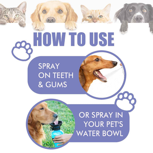 Pet Tooth Cleaning Spray for Dogs & Cats – Fresh Breath & Oral Care (30ml)