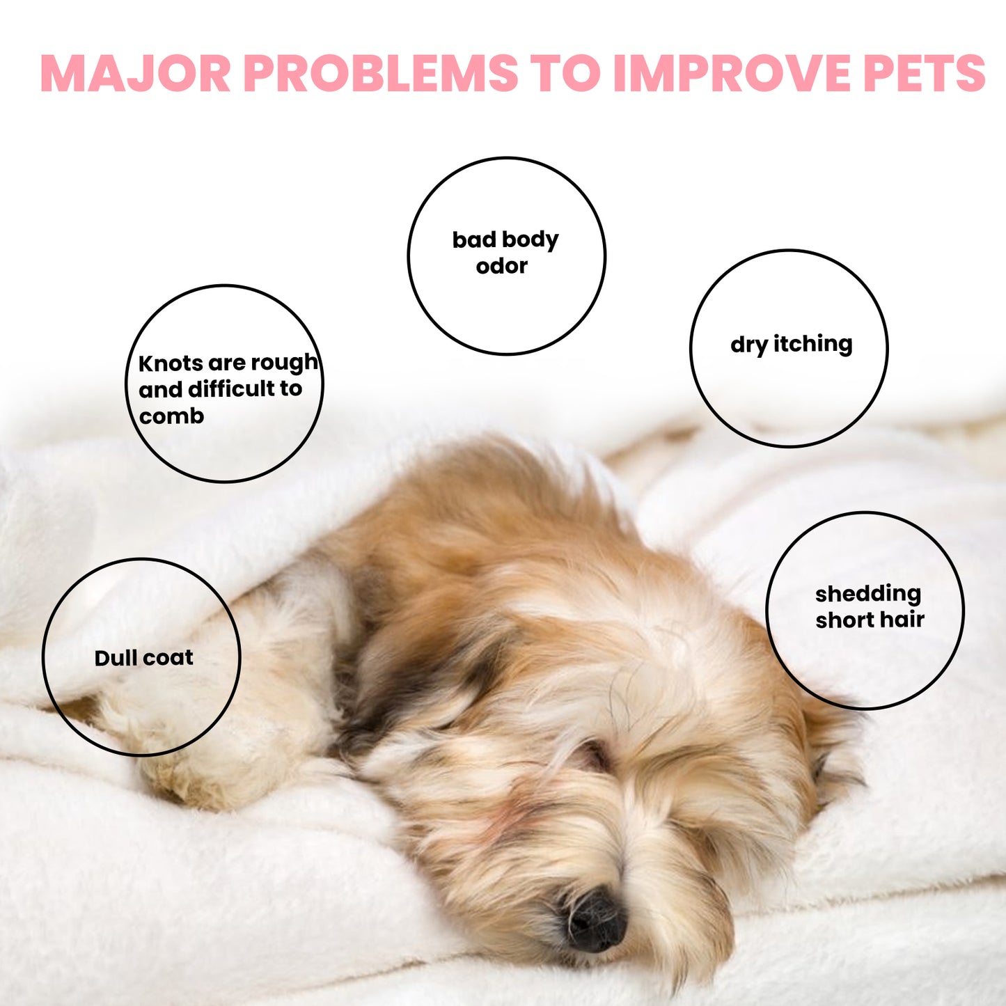 Pet Grooming Soap for Dogs & Cats – Anti-Mite, Itch Relief & Coat Care