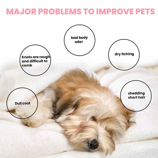 Pet Grooming Soap for Dogs & Cats – Anti-Mite, Itch Relief & Coat Care