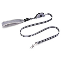 Reflective Nylon Dog Leash 150cm – With Waste Bag Dispenser for All Dog Sizes