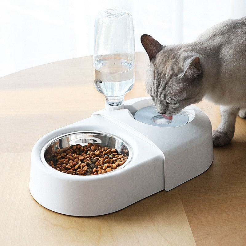 Pet Bowl & Automatic Water Fountain – Anti-Spill Feeder for Dogs & Cats