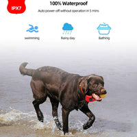 Dog Training Collar with Remote – 1000ft Range, Waterproof, Beep/Vibration/Shock for Small, Medium & Large Dogs