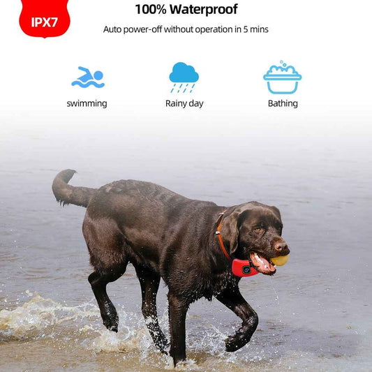 Dog Training Collar with Remote – 1000ft Range, Waterproof, Beep/Vibration/Shock for Small, Medium & Large Dogs