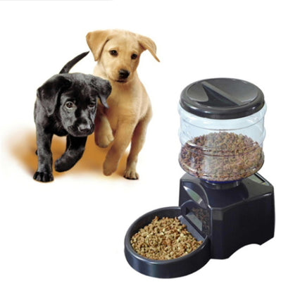 Automatic Pet Feeder with LCD Screen & Voice Recording – 5.5L Food Dispenser for Dogs & Cats