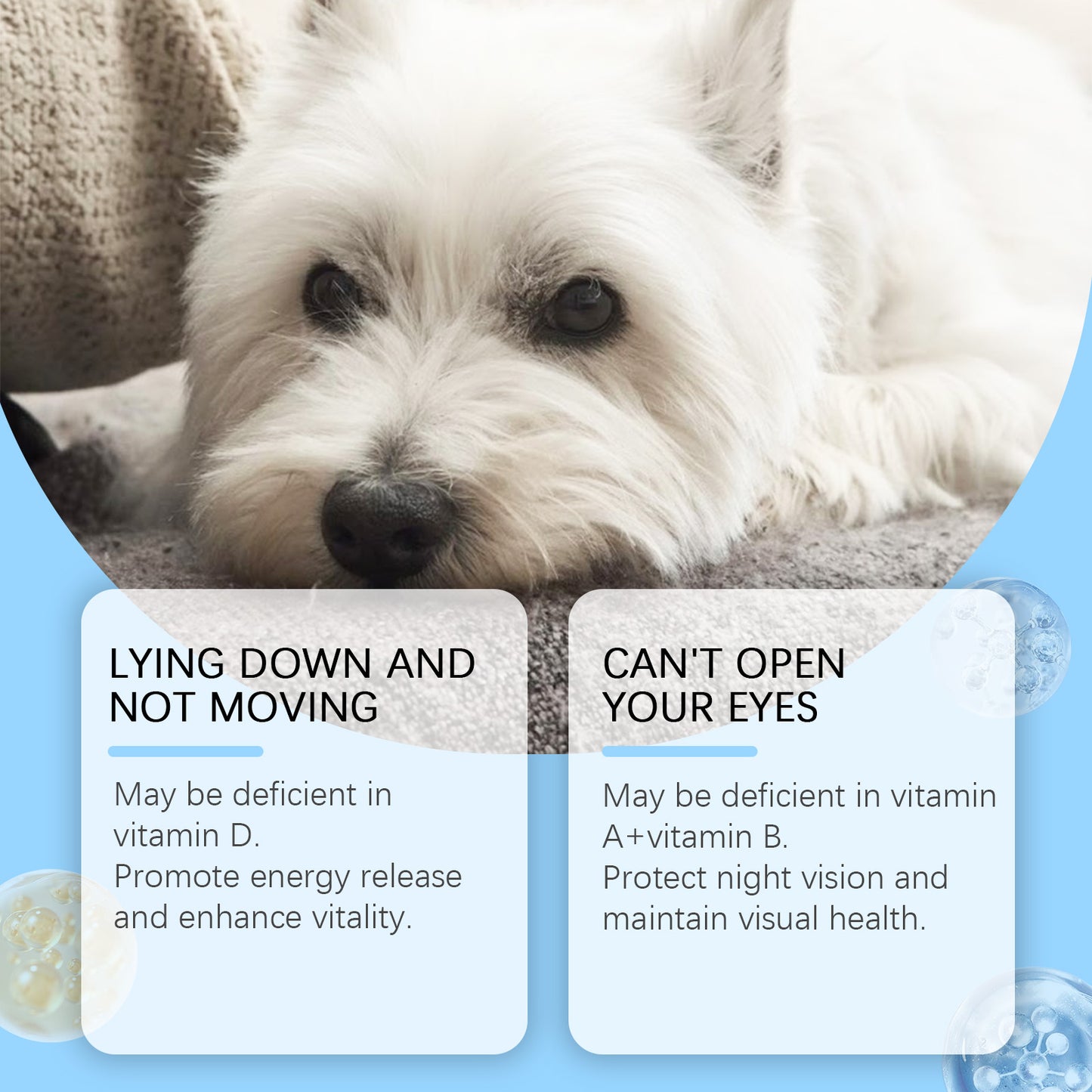 Pet Multivitamin Tablets for Dogs & Cats – Daily Health & Nutritional Supplement