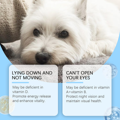 Pet Multivitamin Tablets for Dogs & Cats – Daily Health & Nutritional Supplement