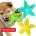 Starfish Dog Molar Chew Toy – Squeaky TPR Dental Stick for Dogs