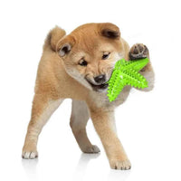 Starfish Dog Molar Chew Toy – Squeaky TPR Dental Stick for Dogs