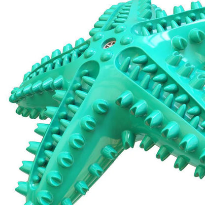Starfish Dog Molar Chew Toy – Squeaky TPR Dental Stick for Dogs